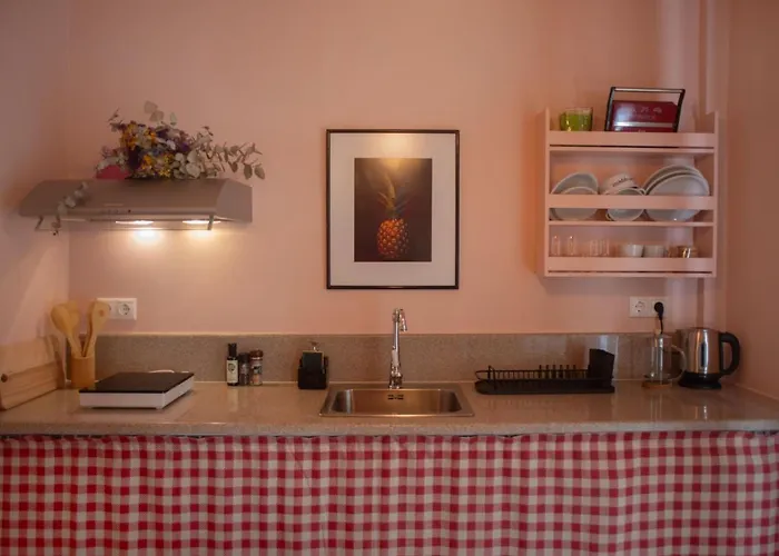 Nina's Apartment Lixouri